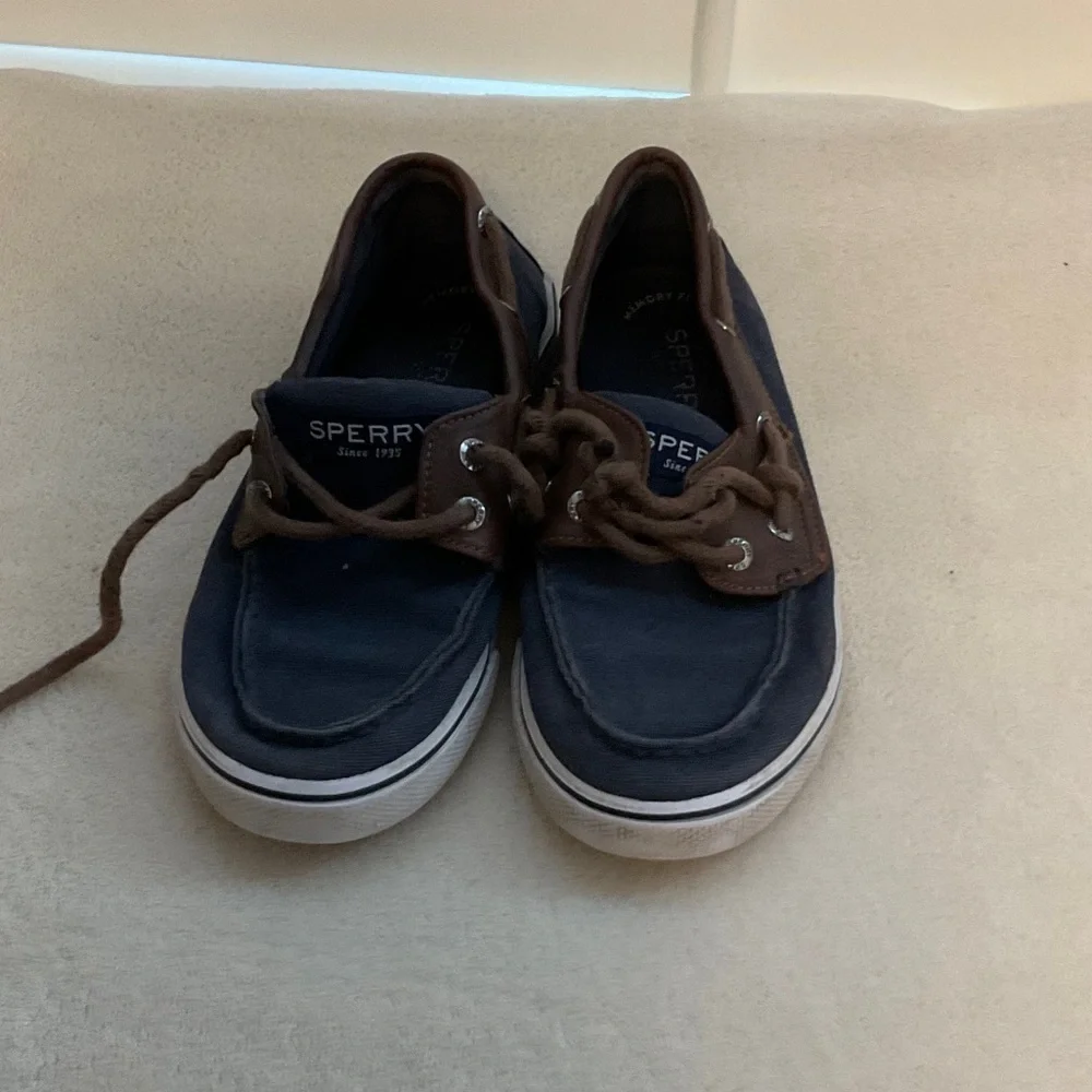 Sperry Men's Navy and Brown Boat Shoes